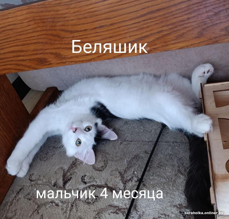 b2c14a0bf39e2e23b6a9f338a1645039.jpg