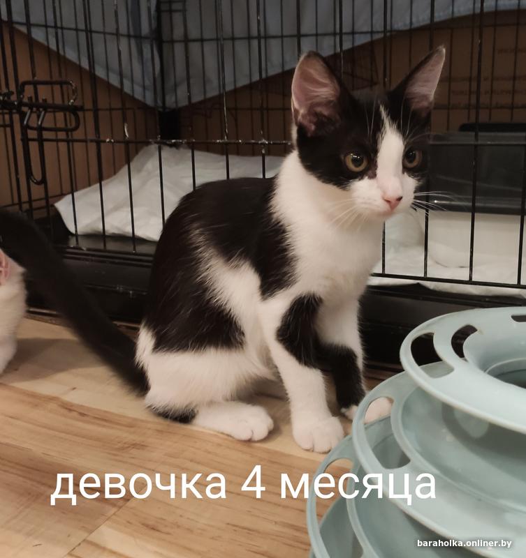 c2088784ce8150adbba57c4ca5cdb524.jpg