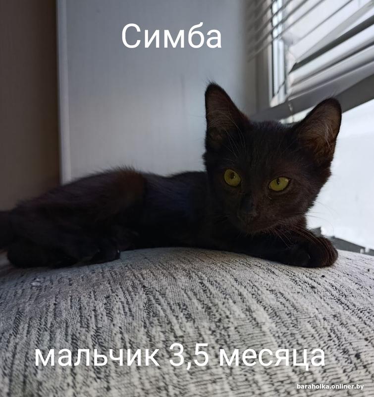 e2b2aa81ef059aec0840f95d8469702b.jpg