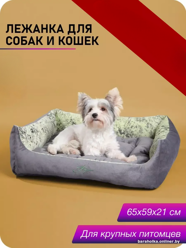 cc49f8ada30652d827c76a98707837dc.png