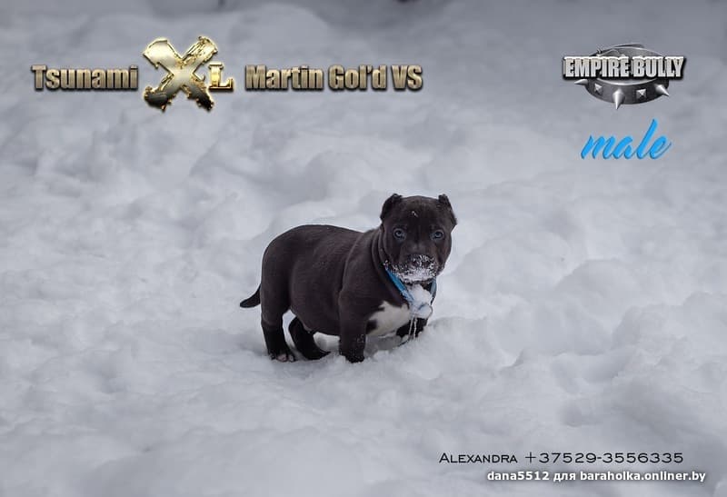 e8723522ead6a3d263e6e470ea570d69.jpeg