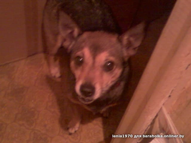 4bfee8ebab221196f610280d0a780de0.jpeg