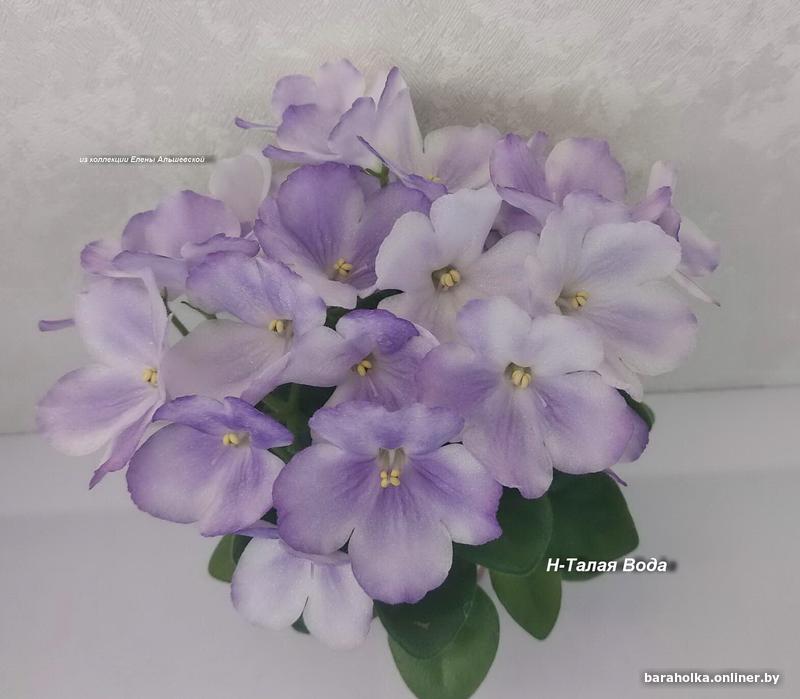 9fc3d62e4fa9c675210583bf22ef9a96.jpg