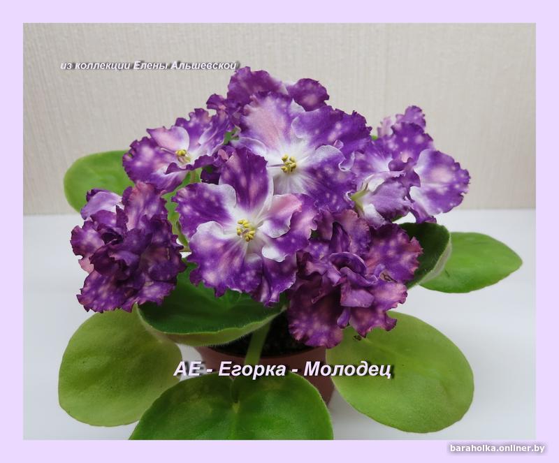 ef8c818385d4aecb34bf4e171124c1aa.jpg