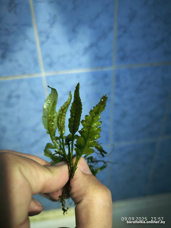 f7d90c01aa7ea3943cad6772d022ed4f.jpg