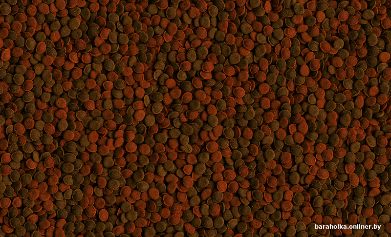 d8dda59601e57cfdc501ca7799d1514a.png