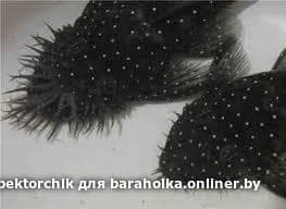 d40c72af80f4671a8c58a867eb64e664.jpeg