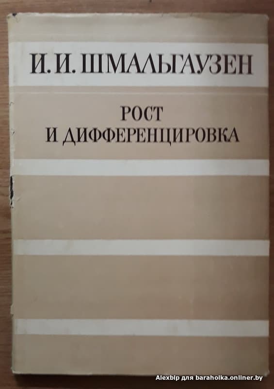 5cc42a6d0ac53ba1258ae0a5d9ae0a40.jpeg