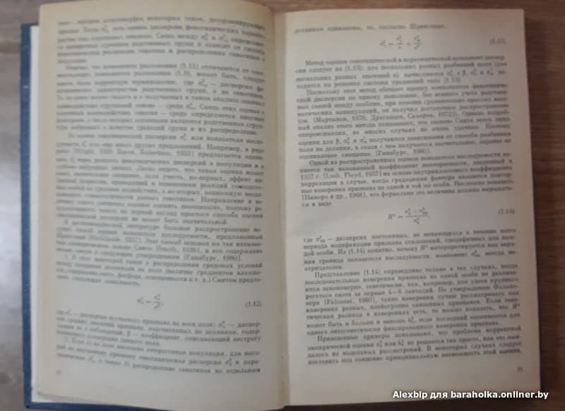 eabda3ca025446b551267c98443c5733.jpeg