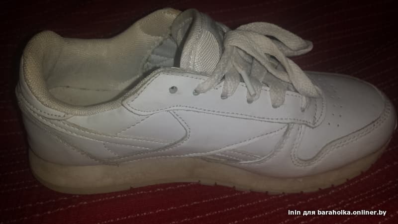 fa457230d81256d6f6ebbe81f030d0ea.jpeg