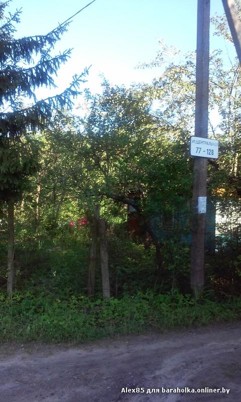 c12cde843cf84fd5229382590698d277.jpeg