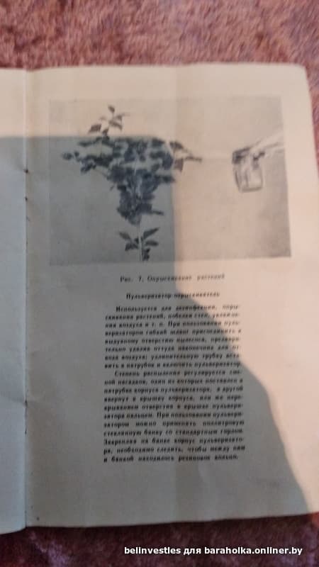 db295e9db5a0f0ccbcc7126b5983a5b5.jpeg