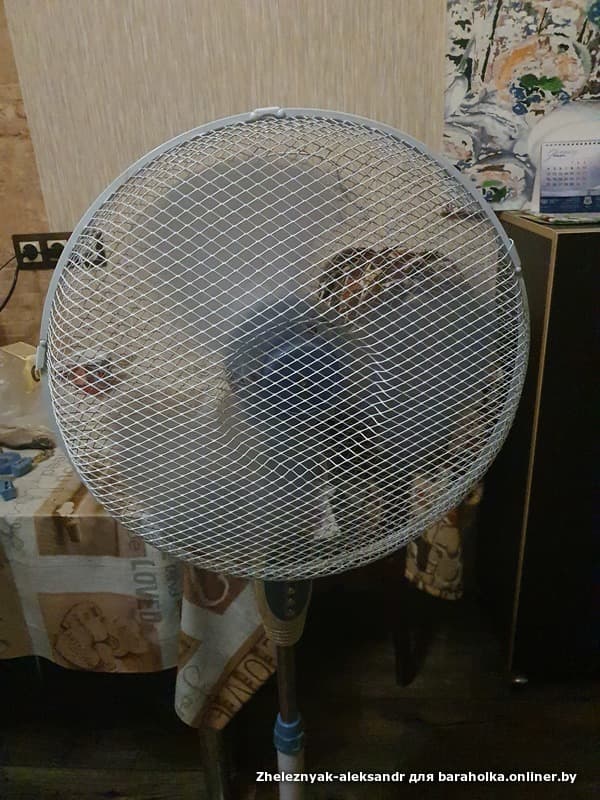f2d2a67afdb47efb3e34385972acddcd.jpeg