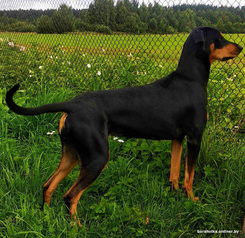 419bdd38502aeb6a7ef39d265e8d72d2.png
