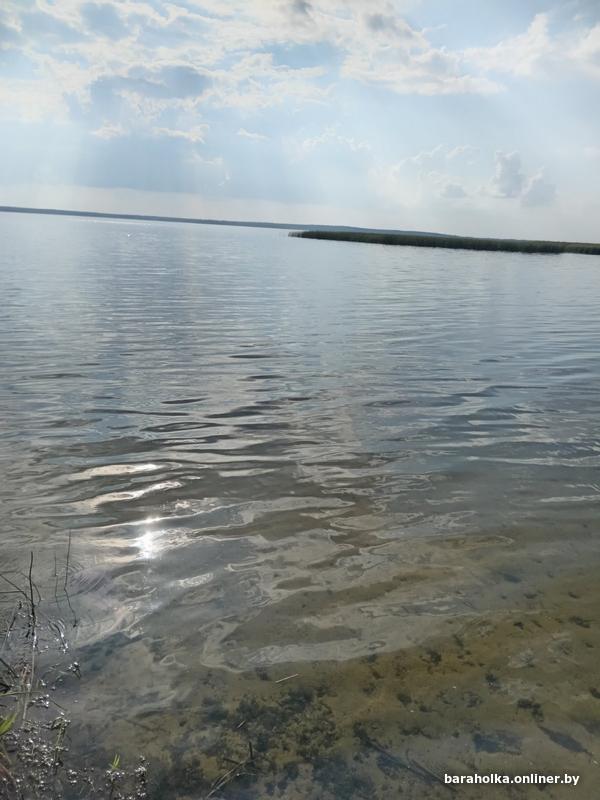905a74207fd751f185669626452df4ab.jpg