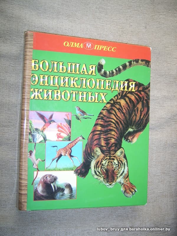 23d283c72b38a53350667802b64fc4eb.jpeg