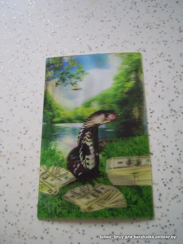 �������� ����������