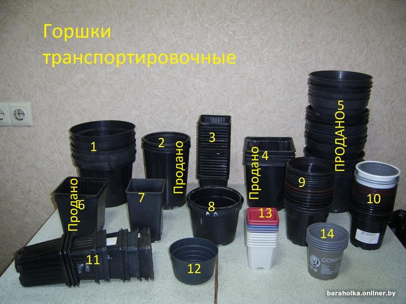 e849eaf3854bb9be088cb487ef65a0ba.jpg