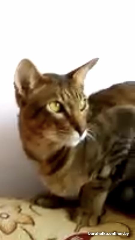 9d5b2b7a3b2051d2b705e28481dc62bf.jpg