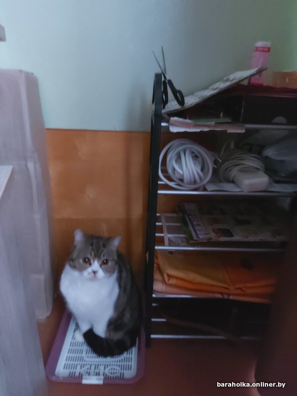 be3b572241c33066b9220dafa2869379.jpeg