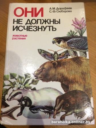 e13b5f14f66e91b56ac72d87bc408c7c.jpg