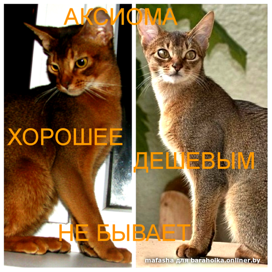 67d19c38611fe1984252be67d6d45b63.png