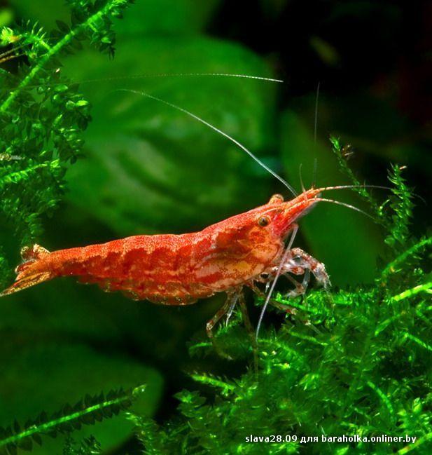 34db20120a09efcd9973ca71bd0349c3.jpeg