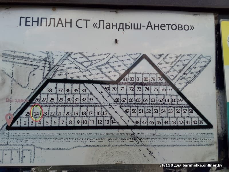 e1e00fa6c0e7593c209c06daa1d6626e.jpeg
