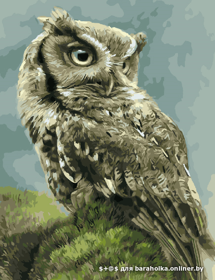 a848c60024dd97f8c10888c4321fc4f8.png