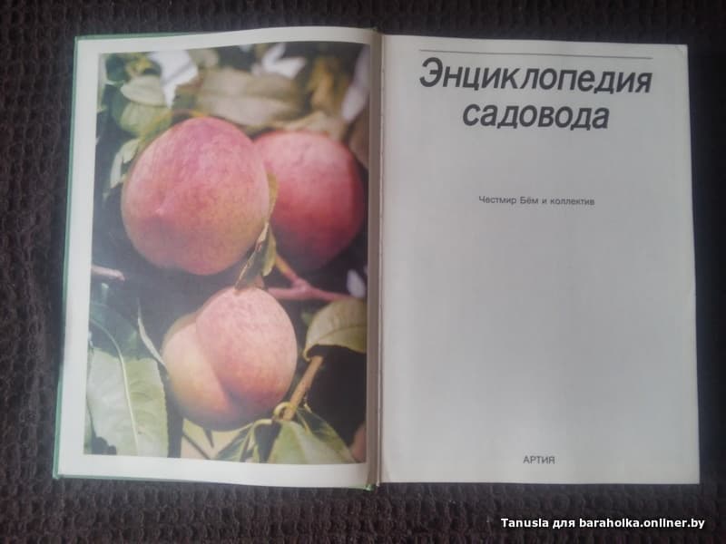 0f61db0ec7997c5096396592012fd9b9.jpeg