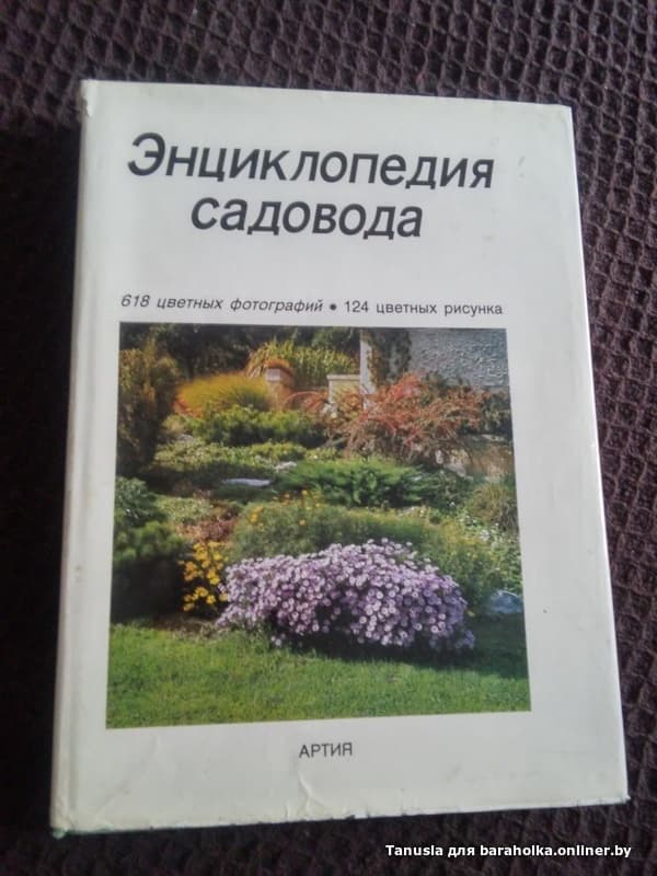 fe8bfcced9113a9b813e7e84e947f0f7.jpeg