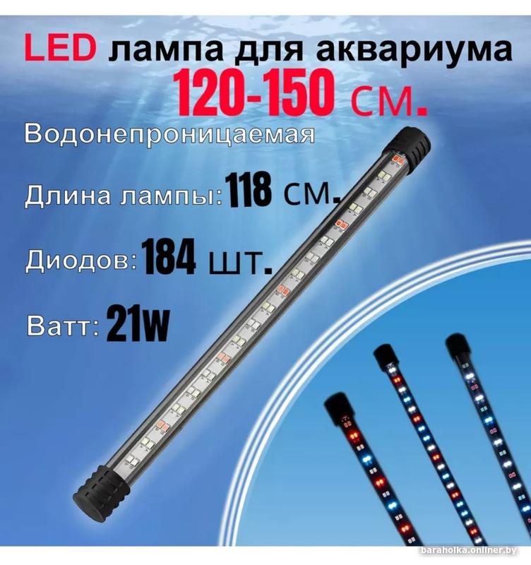 62f4ef383b2034ada23a1c986ed94f7b.jpg