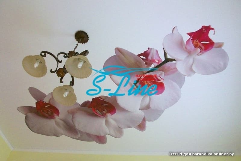 8d4f25b79e4b420aed8532531685bb2c.jpeg