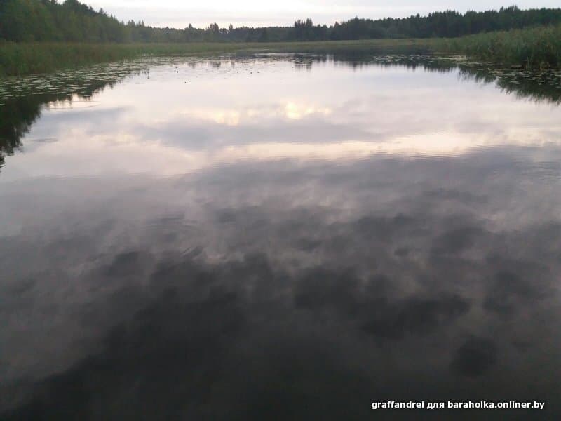 52ace988b1aa41759a7158c2d953e67e.jpeg