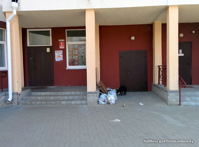 2015-08-02 16.11.07.jpg