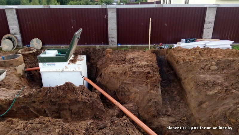 Когда сеять арбузы на рассаду 87 Когда сеять арбузы на рассаду 64