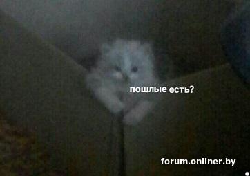 9d27ed5d2d8e74fc1bcfc0485e3bddb0.jpg
