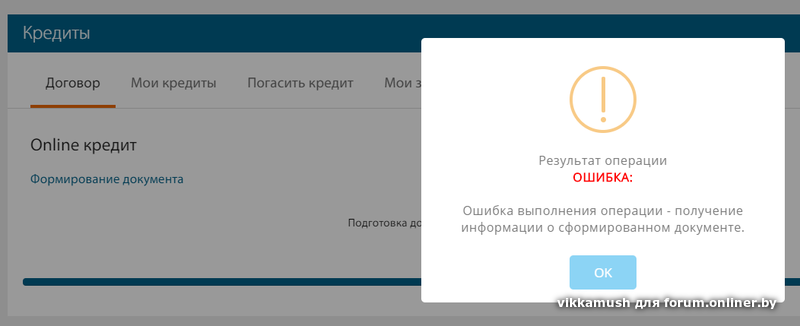 Ошибка операции. Ошибка займа. БЕЛВЭБ ошибка. Узнать остаток по кредиту БЕЛВЭБ. Элекснет ошибка операции.