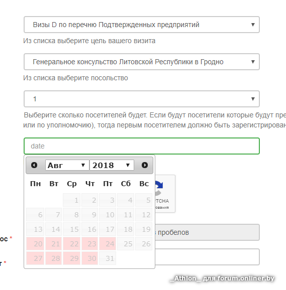 Как заполнить на прием в Литовское посольство. Epis numerв литовском консульстве.