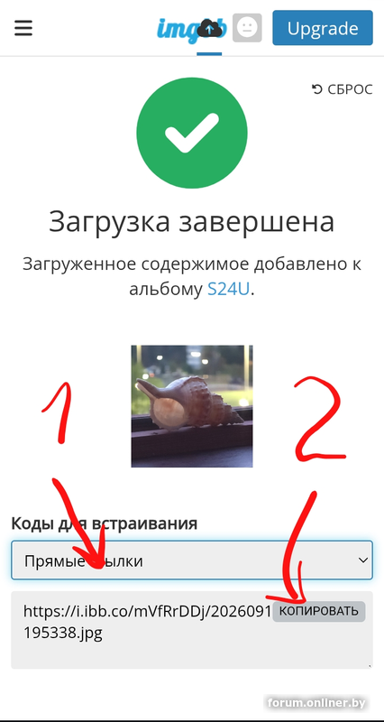 ad790e36bfc0baa1e44bfd08a6378ff5.png
