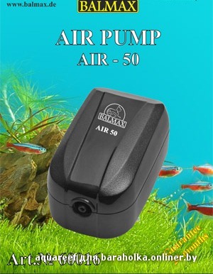 843-balmax-air-50.jpg