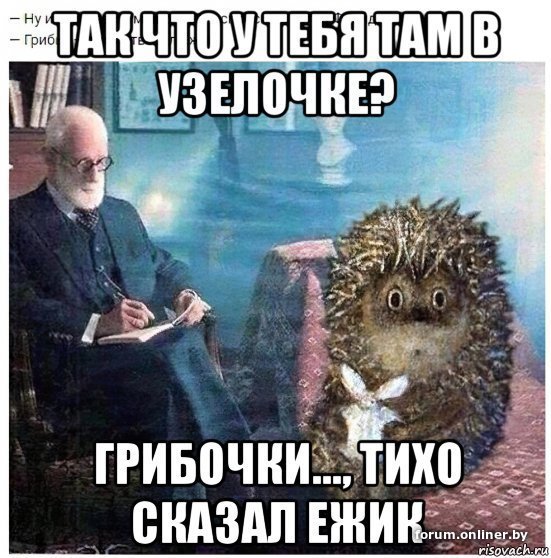 Смешные мемы про ежиков