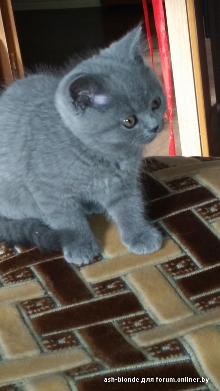 20160215_113508.jpg
