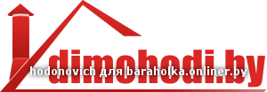 dimohodi.by.png
