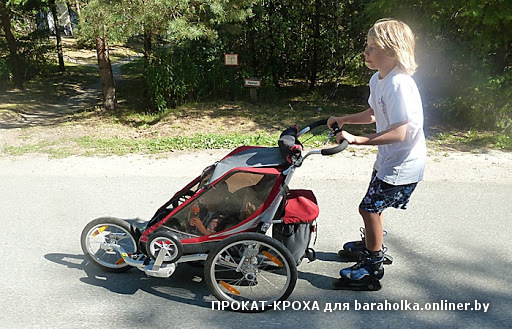 P1000241c.jpg