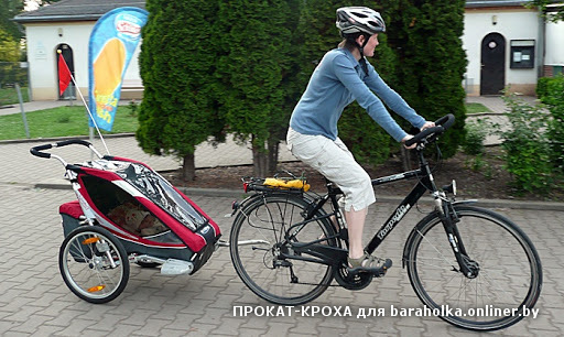 P1010404c.jpg