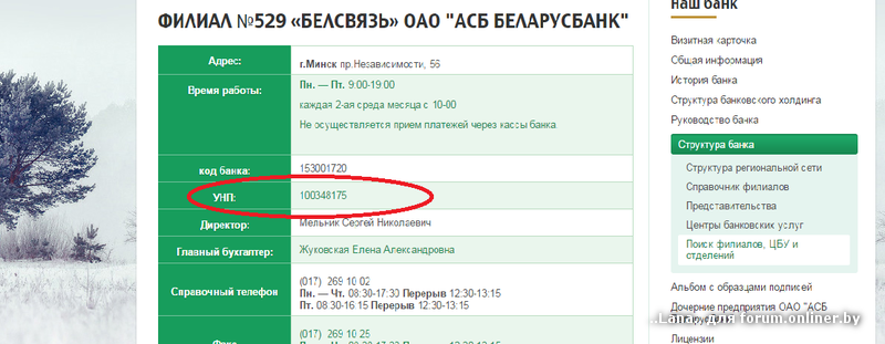 УНП что это. Беларусбанк УНП. УНП банка что это. Беларусбанк БИК банка.