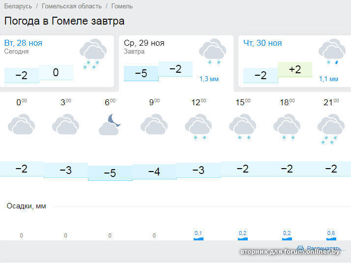 Погода в гомеле на завтра почасовая