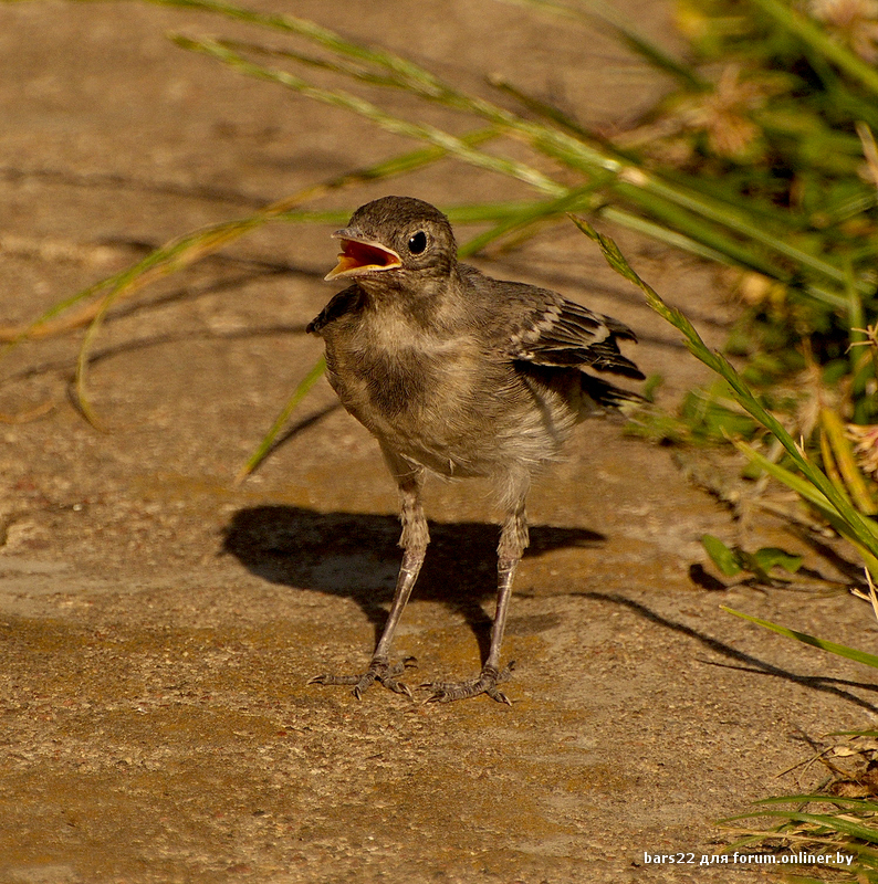 DSC_5759.jpg