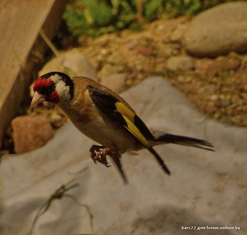 DSC_7684.jpg